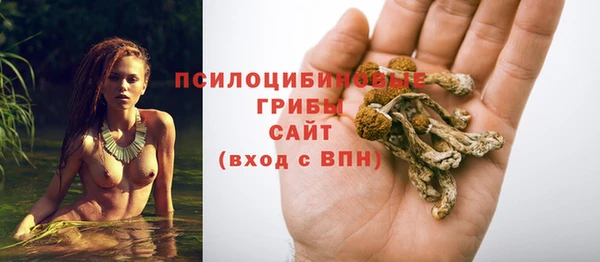 спиды Кукмор