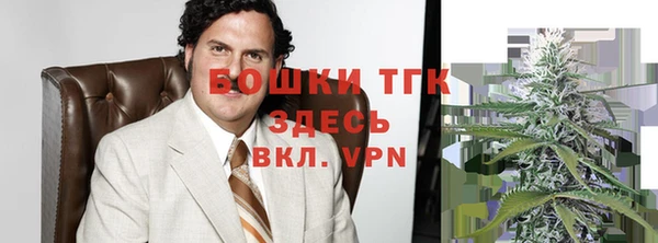хмурый Покачи