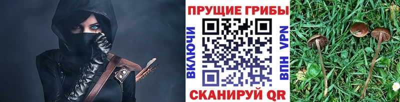 Псилоцибиновые грибы прущие грибы Лыткарино