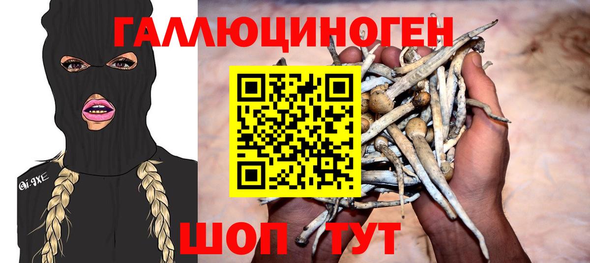 Лыткарино  Псилоцибиновые грибы ЛСД  Вход с VPN 