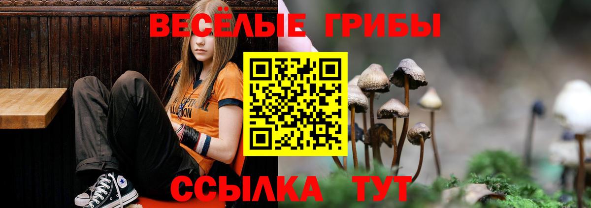 Галлюциногенные грибы мицелий  Псилоцибиновые грибы прущие грибы  Лыткарино 